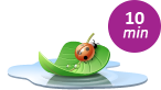 prudi_en.png
